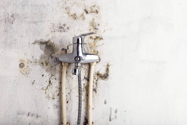 Best HVAC Mold Remediation in New Orleans Station, LA