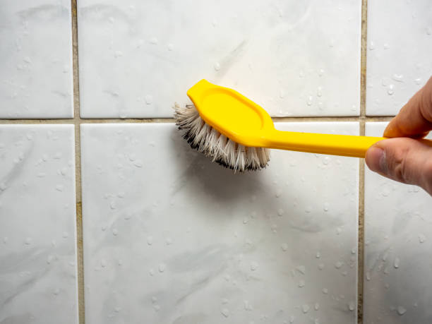 Best Mold Remediation for Schools in New Orleans Station, LA