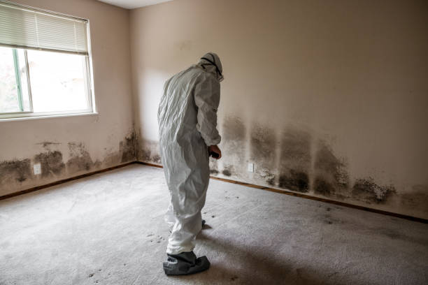 Best Bathroom Mold Remediation in New Orleans Station, LA